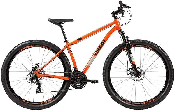 Bicicleta MTB Aro 29 Câmbio Indexado Freio Mecânico